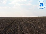 Article В Харьковской области выполнили план по озимым