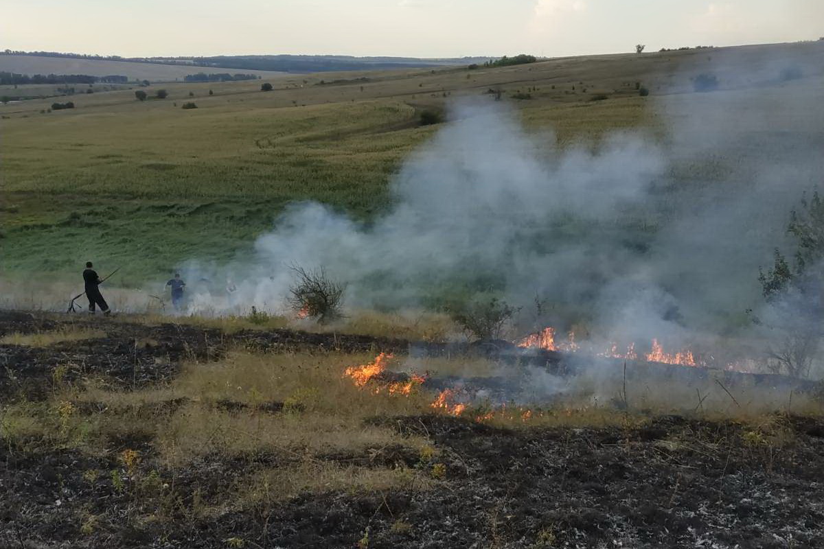 Зображення до:  Рятувальники за добу 20 разів виїжджали на пожежі в екосистемах на Харківщині