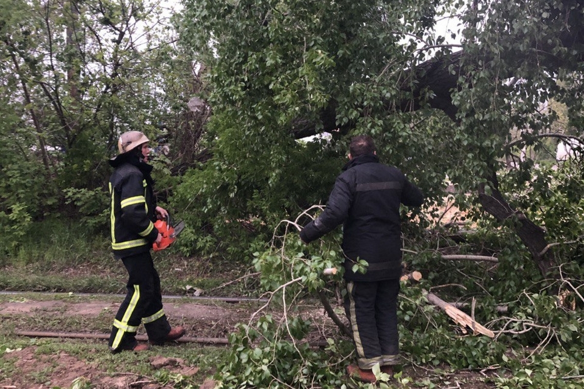 Зображення до:  Негода на Харківщині: повалені дерева перекривали дороги та трамвайні колії