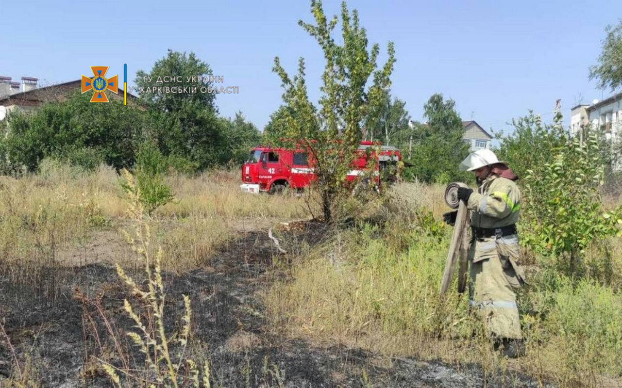 Зображення до:  Пів сотні пожеж за добу: харківські рятувальники просять не палити суху траву