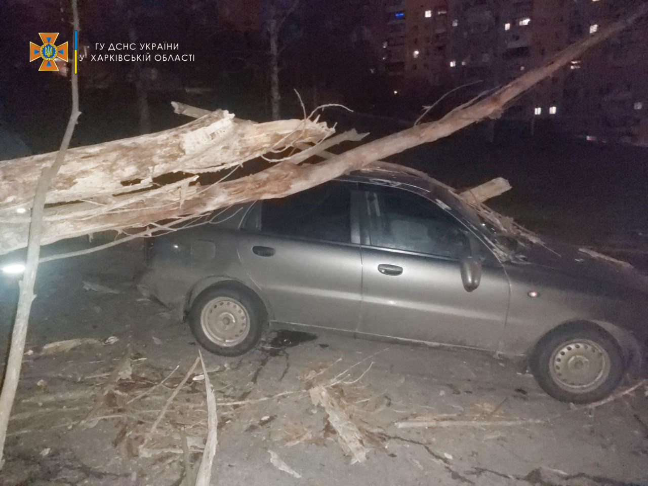 Зображення до:  У Харкові сильний вітер валив дерева, оголошено штормове попередження