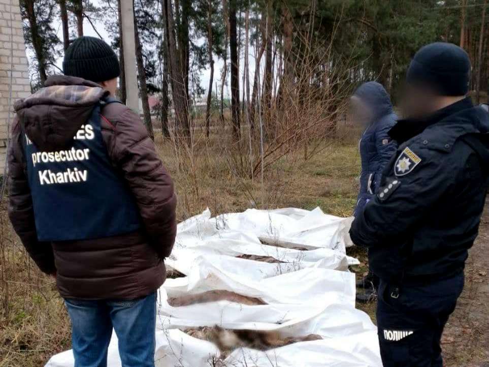 Зображення до:  На Ізюмщині ексгумували п’ятьох загиблих від авіаудару — прокуратура