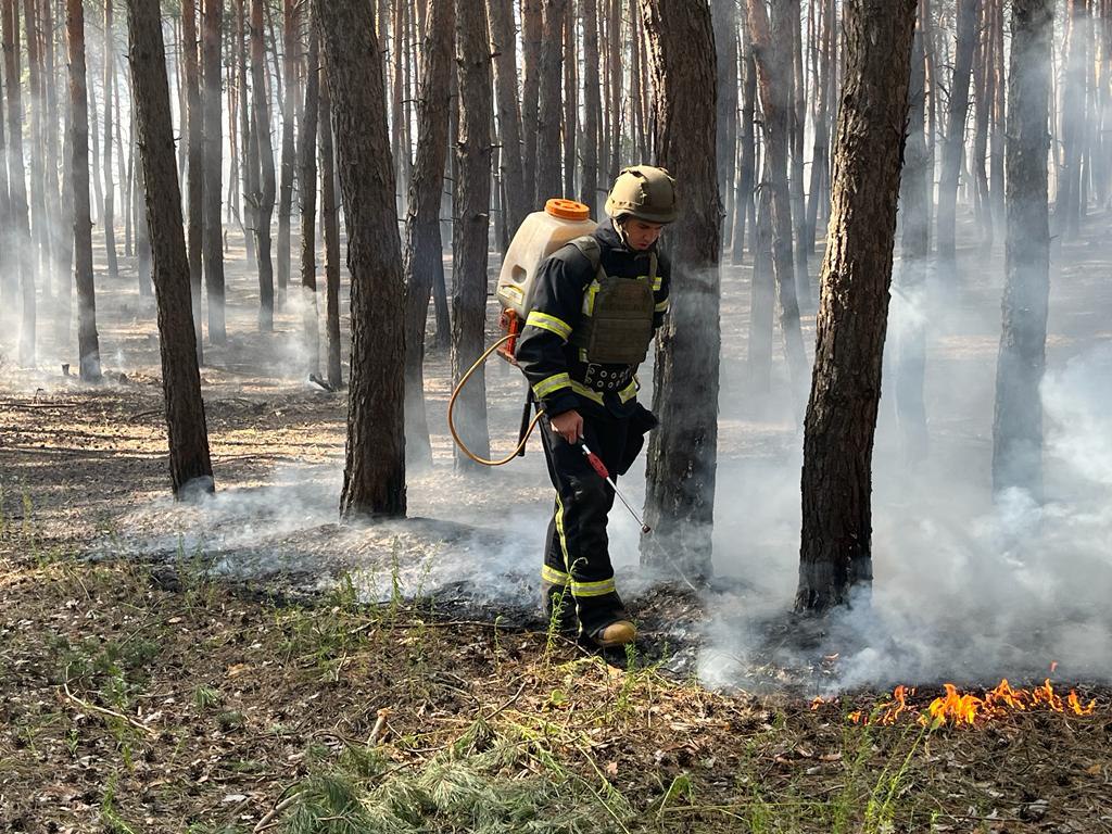 Зображення до:  У лісі на Куп’янщині від російського обстрілу спалахнула пожежа