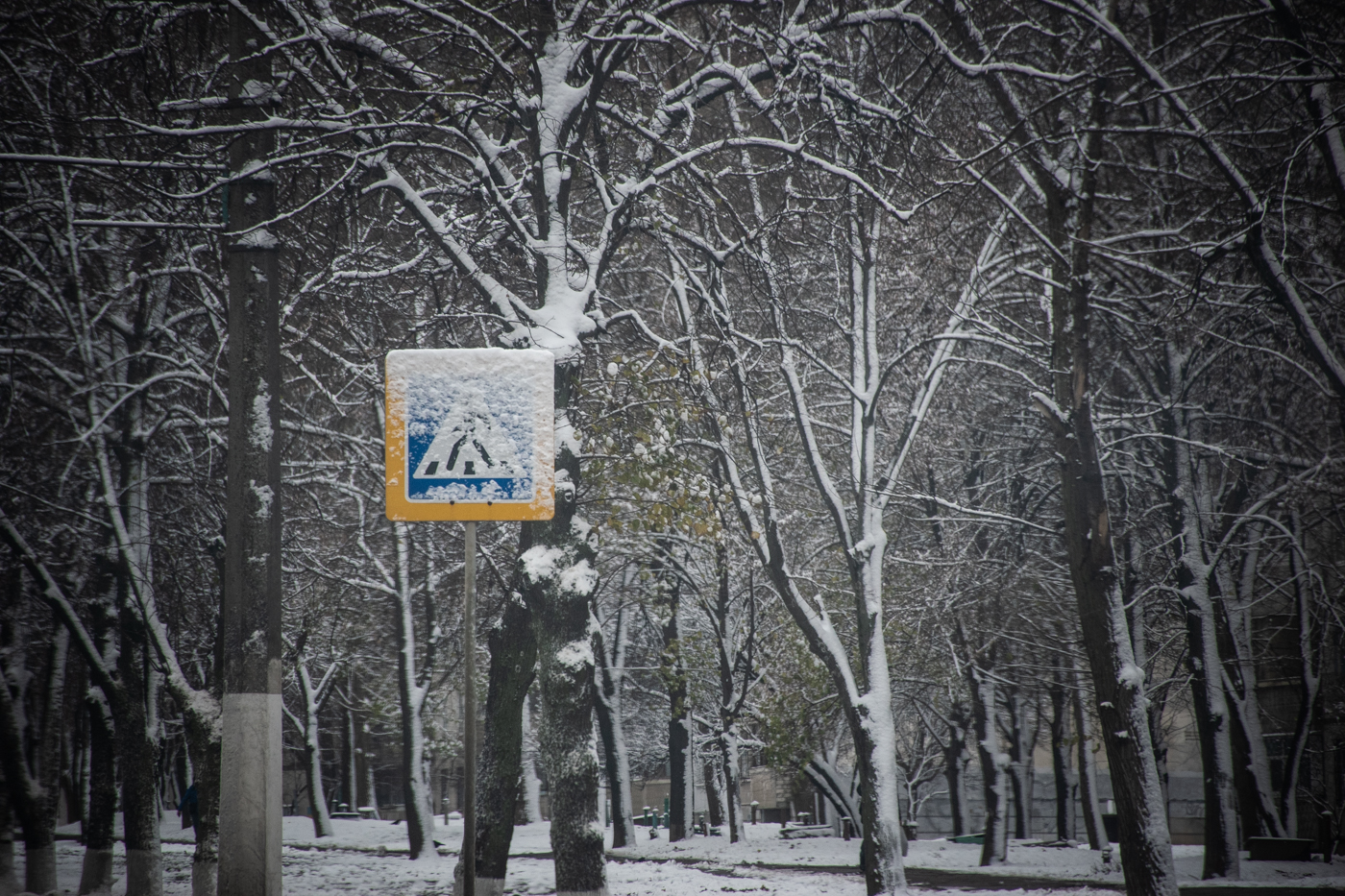 Зображення до:  Негода на Харківщині: частково знеструмлені 10 населених пунктів