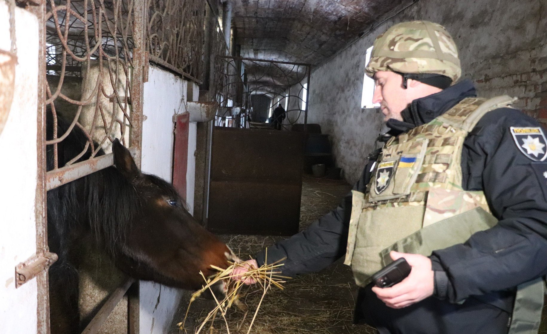 Зображення до:  У Старосалтівській громаді поліцейські взяли під опіку кінну ферму: фото, відео