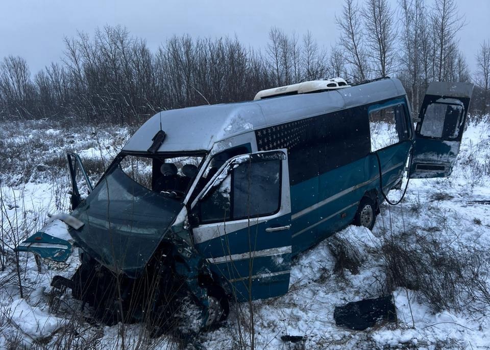 Зображення до:  На Харківщині зіткнулися мікроавтобус та вантажівка: 12 травмованих