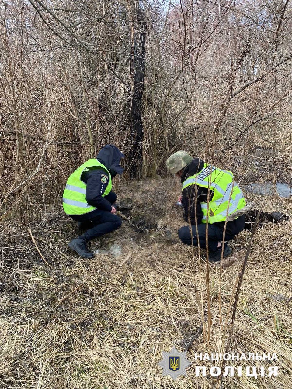 Зображення до:  Зник під час окупації: в Ізюмському районі знайшли останки людини