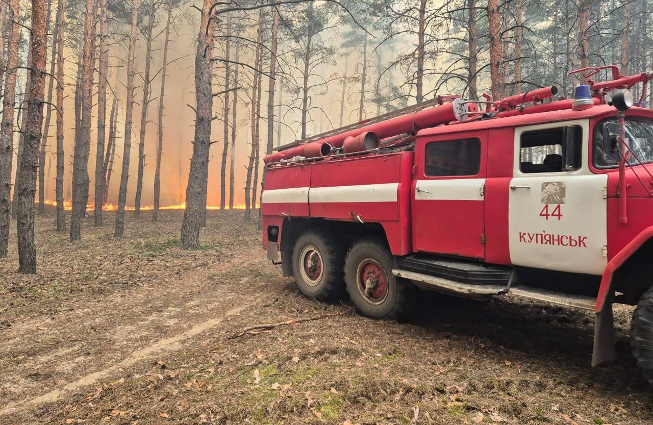 Зображення до посту: На Куп’янщині від обстрілу спалахнула пожежа в сосновому лісі: фото