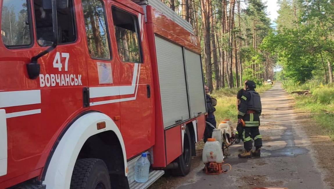 Зображення до посту: Від обстрілів на Чугуївщині сталася лісова пожежа площею 7 га: фото