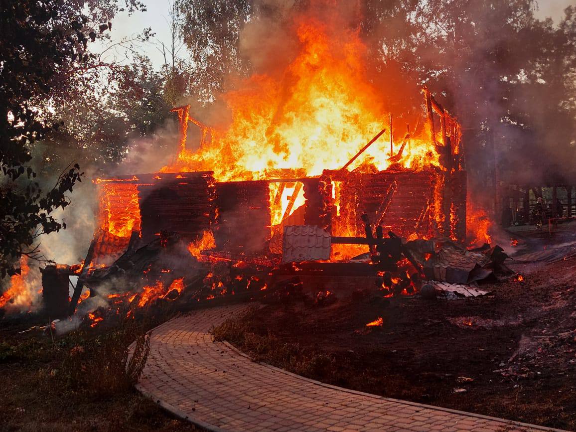 Зображення до посту: В екопарку розповіли про наслідки російського обстрілу