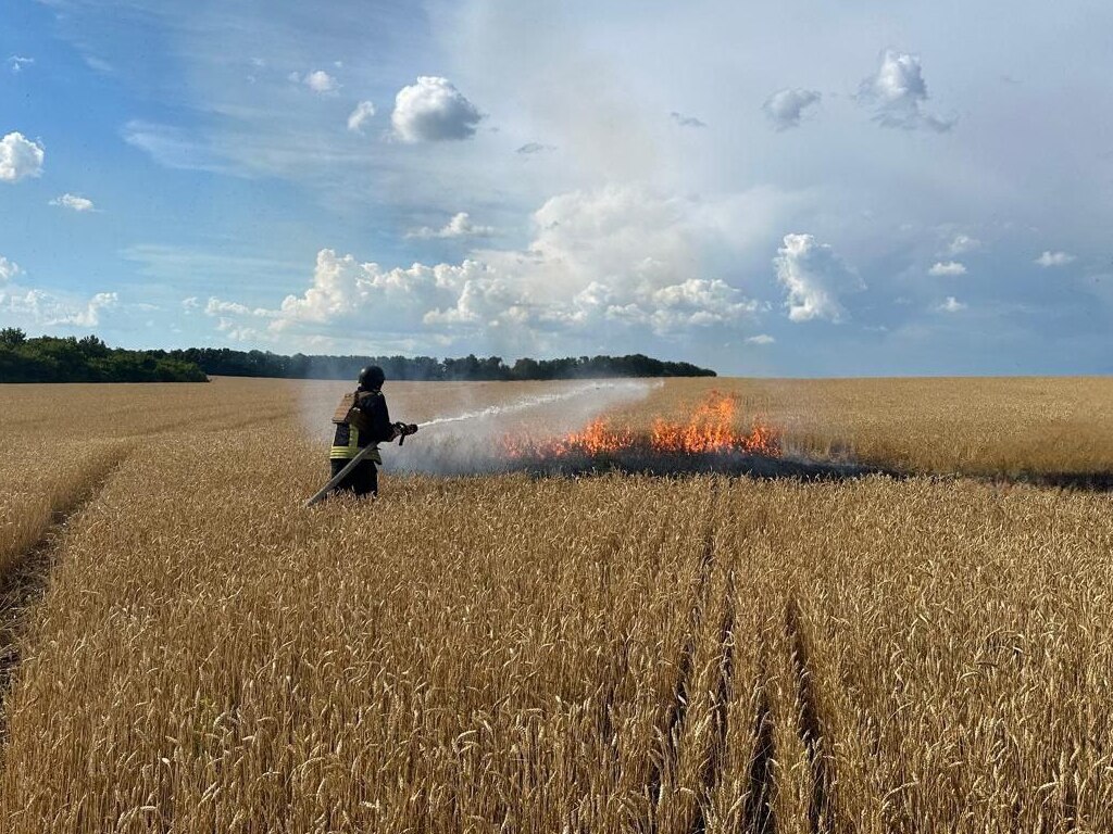 Зображення до:  У Золочівській громаді від обстрілу спалахнуло пшеничне поле