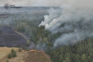 Зображення до посту: Під Балаклією горить ліс: можлива детонація