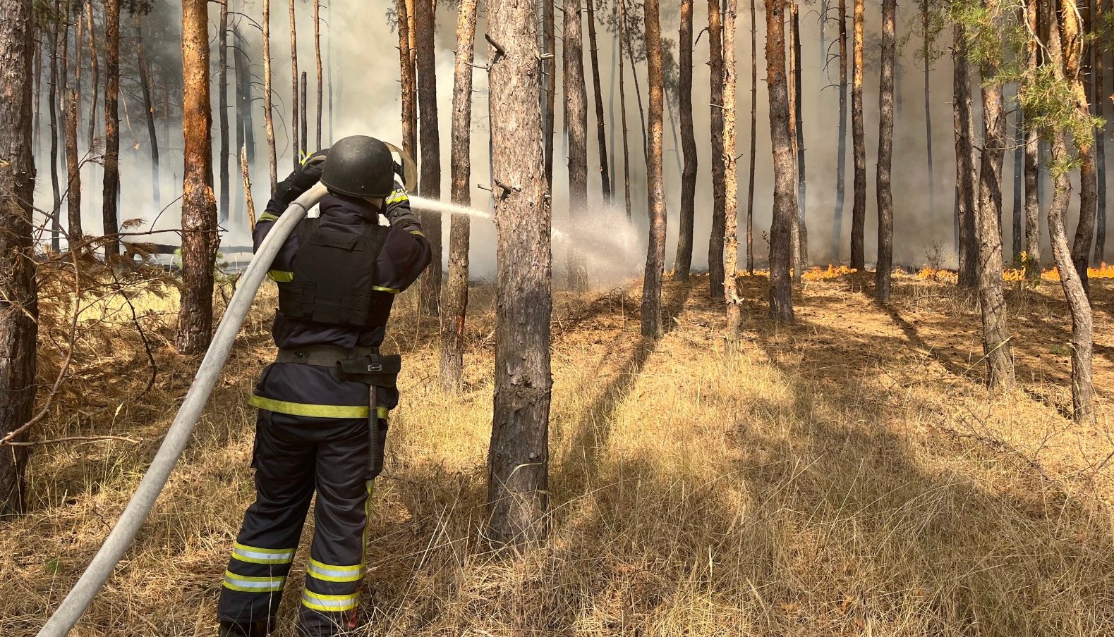 Зображення до:  Внаслідок пожежі у Студенку постраждали місцева жителька та рятувальник