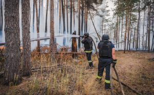 Зображення до посту: Пожежа в парку «Святі гори»: на Донеччині полум’я приборкали, на Харківщині — ще гасять