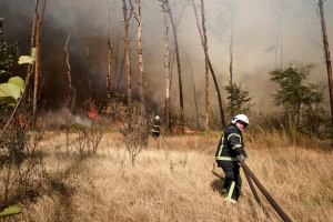 Зображення до посту: Сам гасив пожежу: на Харківщині загинув житель Великих Проходів