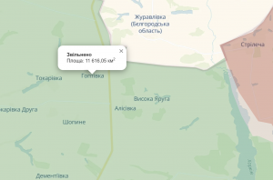 Зображення до посту: Російські диверсанти намагалися прорвати кордон на Харківщині