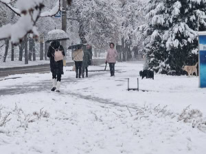 Зображення до посту: Через снігопад на Харківщині можливі аварії на електромережах — обленерго