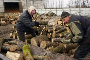 Зображення до посту: Ще понад 12 тис. родин на Харківщині отримають від ООН гроші на купівлю дров