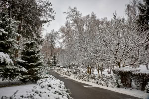 Зображення до посту: На Харківщині — мокрий сніг і туман: водіїв просять бути обережними