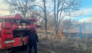 Зображення до посту: У Шевченківській громаді вирують пожежі: жителів просять сповіщати поліцію про підпалювачів
