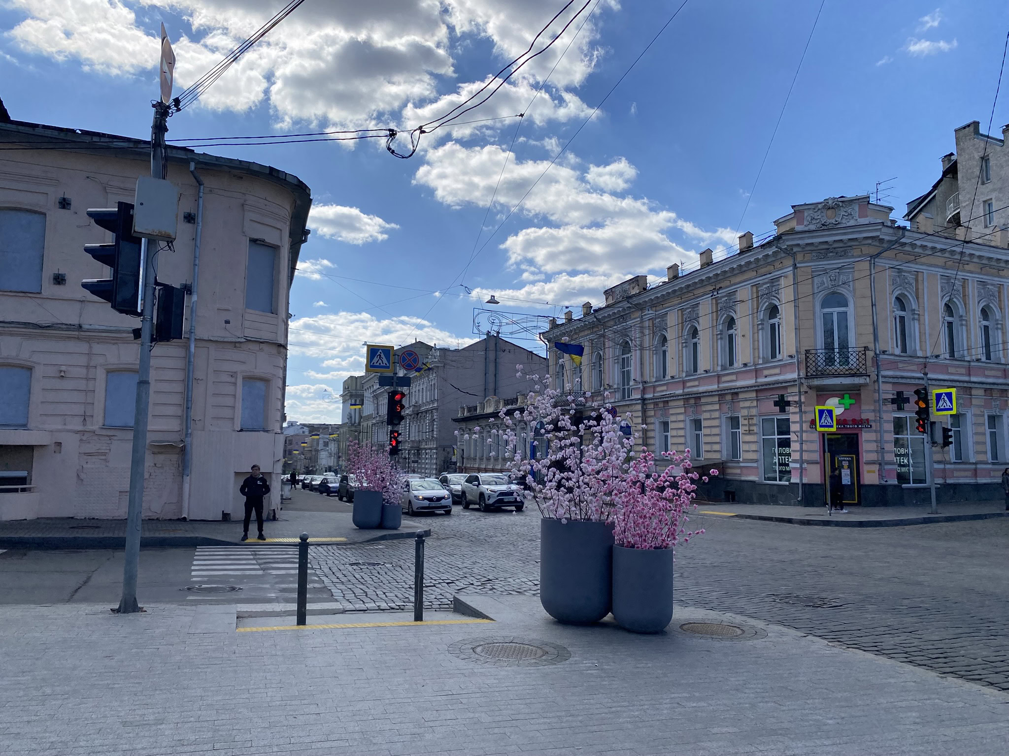 Зображення до:  Штучні квіти на перехрестях у центрі Харкова: патрульна поліція звернулася до Терехова