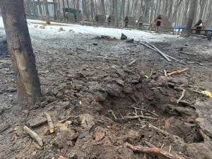 Зображення до посту: Російська армія вдарила по екопарку під Харковом, загинули тварини