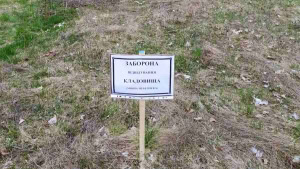 Зображення до посту: У Борівській громаді заборонили відвідувати цвинтарі на Великдень