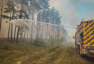 Зображення до посту: Під час гасіння пожежі у Балаклійському лісництві постраждав рятувальник