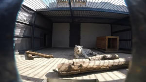 Зображення до посту: Зоопарк у Харкові змінює графік роботи