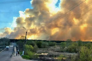 Зображення до посту: У Балаклійському лісництві гасять пожежу: вогонь охопив 60 га