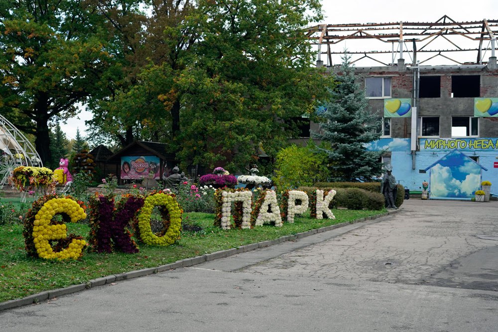 Зображення до:  До харківського екопарку евакуювали віслюка з Костянтинівки