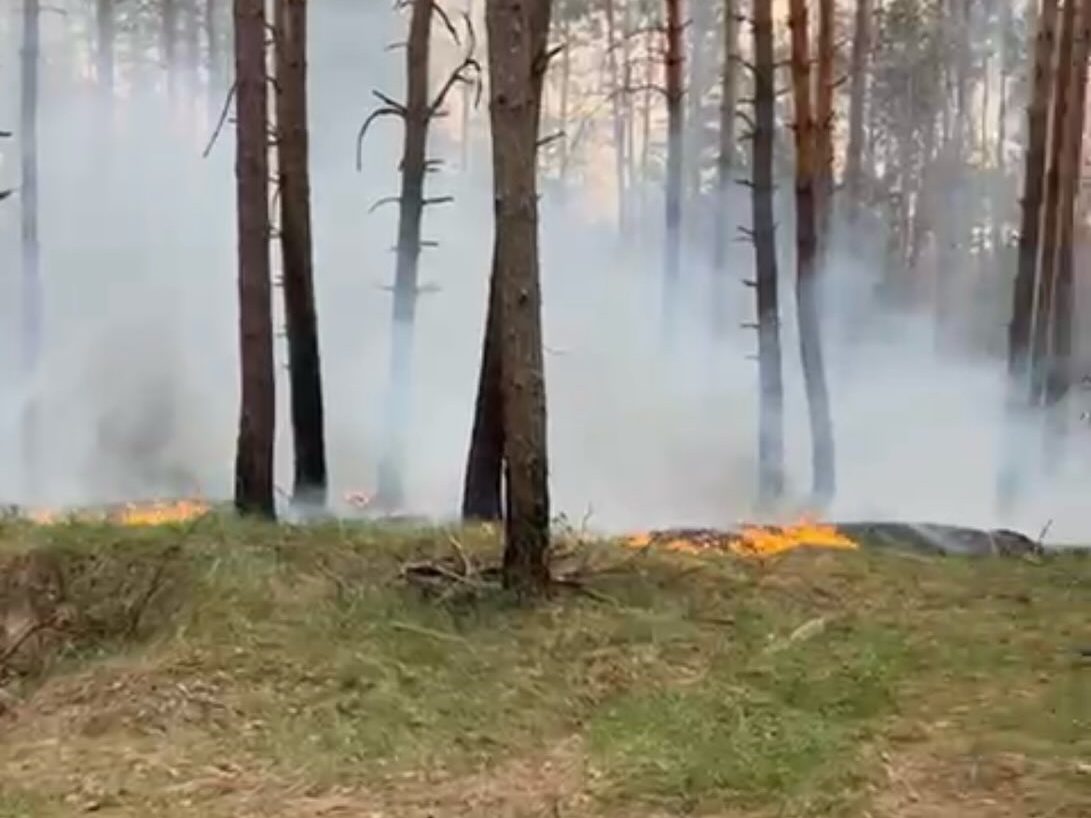 Зображення до:  У Борівській громаді вирують лісові пожежі, спричинені обстрілами