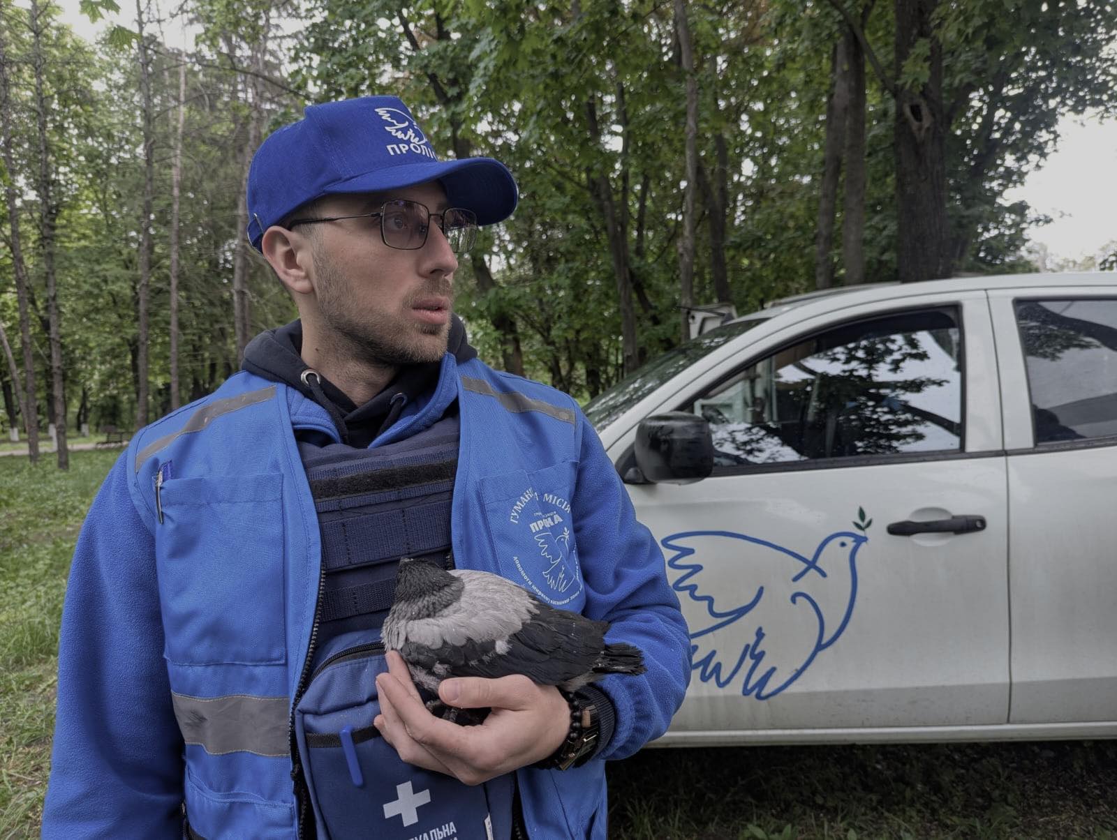 Зображення до:  Працівники «Проліски» після обстрілу Харкова врятували пташку