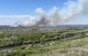 Зображення до посту: Через лісову пожежу в Ізюмі є загроза будинкам