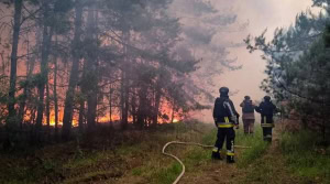 Зображення до посту: Неподалік Старого Салтова гасять лісову пожежу: вогонь охопив понад 20 га