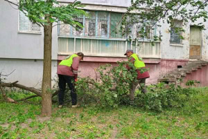 Зображення до посту: Вітряний день у Харкові: гілка травмувала жінку, у центрі міста приспустили прапор