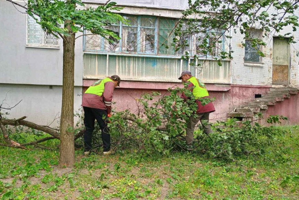 Зображення до:  Вітряний день у Харкові: гілка травмувала жінку, у центрі міста приспустили прапор