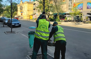 Зображення до посту: У центрі Харкова викорчують понад 60 засохлих дерев
