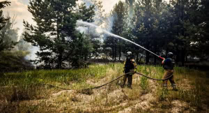 Зображення до посту: На Ізюмщині 10 червня вирували вісім лісових пожеж