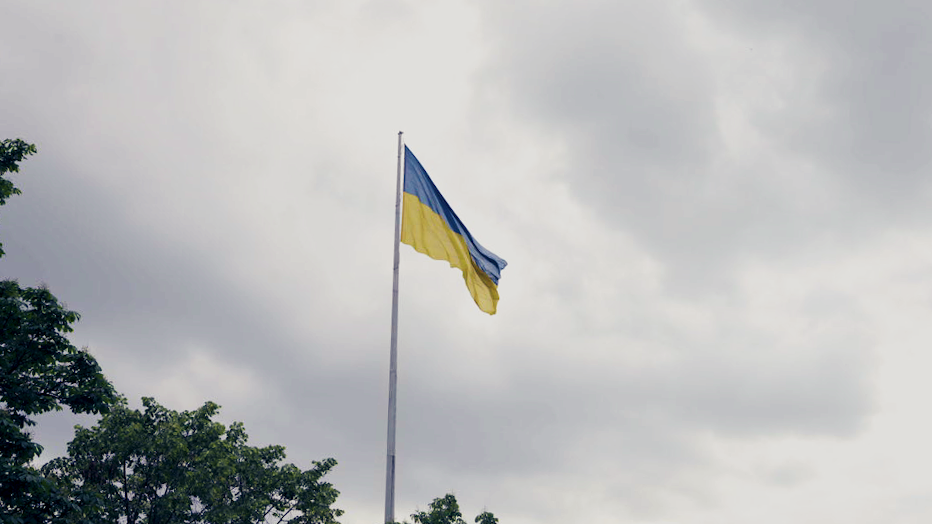 Зображення до:  Відмовився говорити з пасажиркою українською: у Харкові оштрафували таксиста