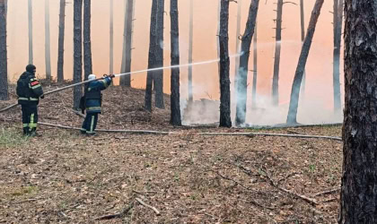 Рятувальники гасять лісову пожежу