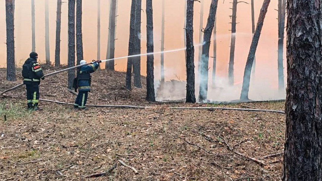 Зображення до:  За добу на Харківщині загасили пів сотні пожеж у полях і лісах