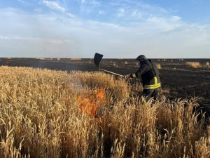 Зображення до посту: Обстріли Харківщини за добу: загиблий на вибухівці, поранені на Куп’янщині, горіла пшениця