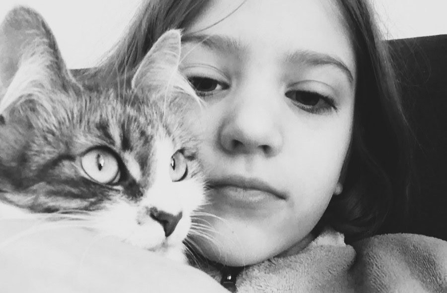 Зображення до:  У Києві загинула родина, яка жила у Харкові після переїзду з Макіївки