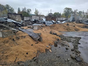 Зображення до посту: На Харківщині російські військові знищили агрофірму