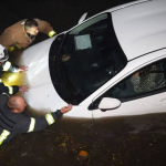 Фото: ДСНС Одещини