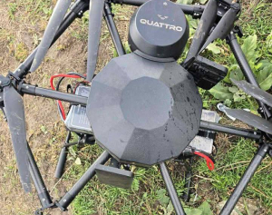 Зображення до посту: На Харківщині дитина знайшла у лісі «Бабу Ягу»