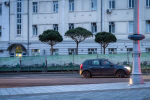 Зображення до посту: У центрі Харкова напередодні зими створили вічнозелену зону: скільки це коштує