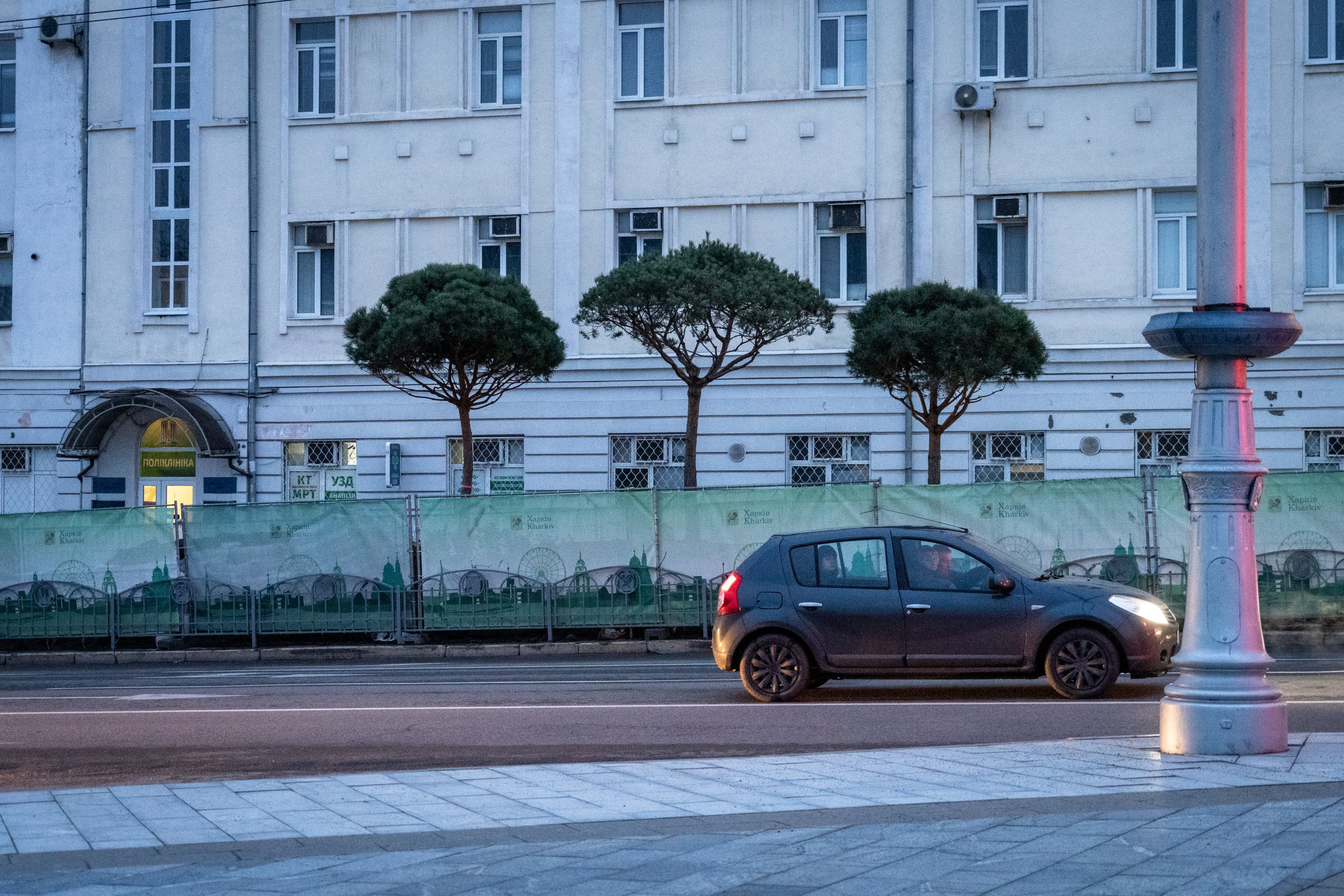 Article У центрі Харкова напередодні зими створили вічнозелену зону: скільки це коштує