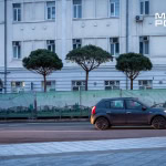 Сосни на майдані Конституції у Харкові